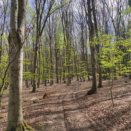 Auszeit In Der * Niederzissen